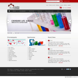 加拿大WebDesignerPS網(wǎng)頁設(shè)計作品集（四） 創(chuàng)新、簡約與用戶體驗的完美融合